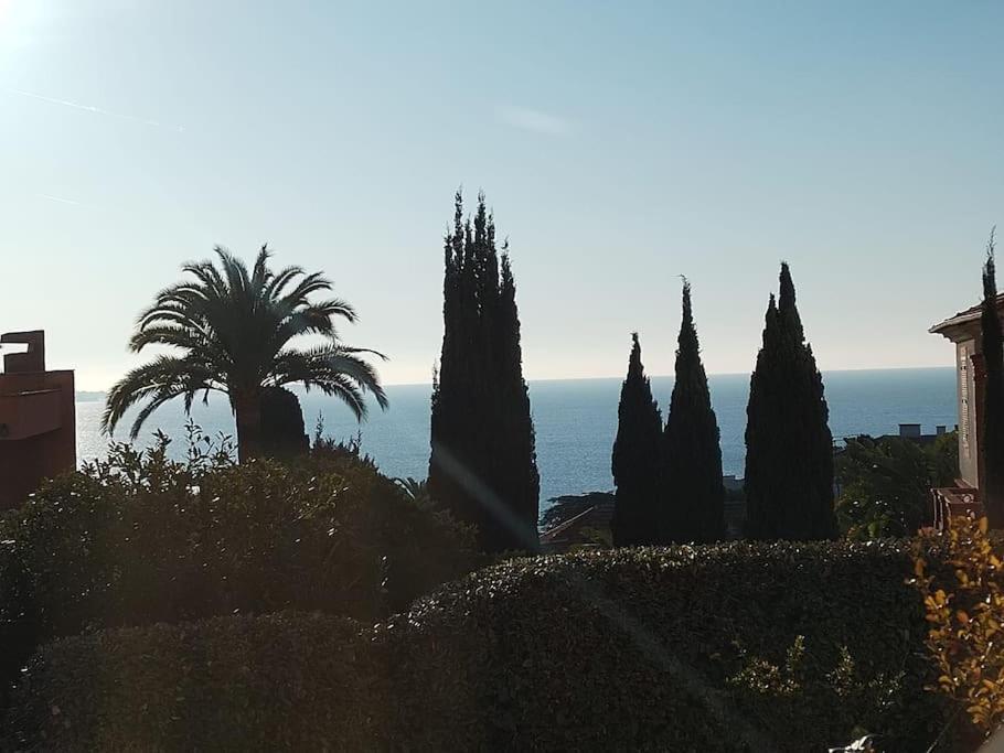 Residence De Luxe Sun Paradis, Studio Terrasse, Vue Mer Piscine كان المظهر الخارجي الصورة